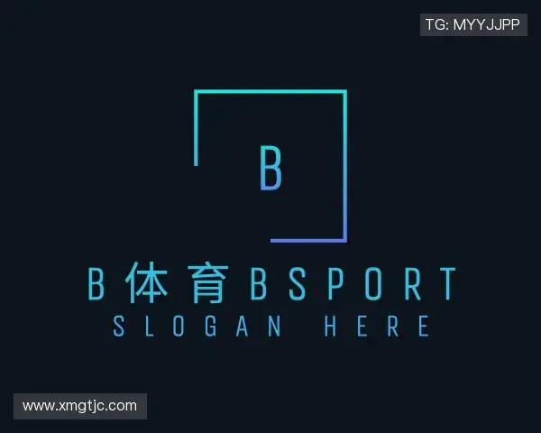 认识b体育bsport